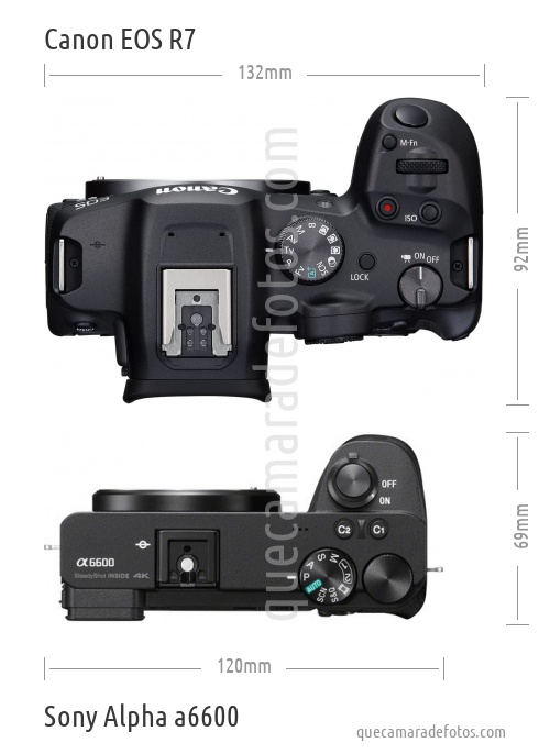 Canon EOS R7 vs Sony Alpha a6600