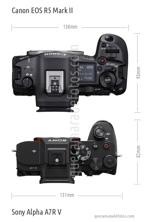 Canon EOS R5 Mark II vs Sony Alpha A7R V