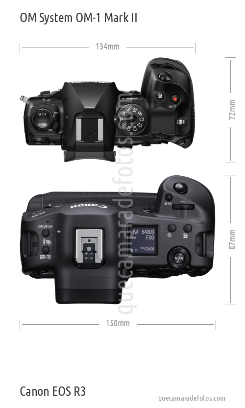 OM System OM-1 Mark II vs Canon EOS R3