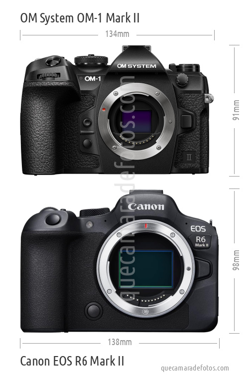 OM System OM-1 Mark II vs Canon EOS R6 Mark II