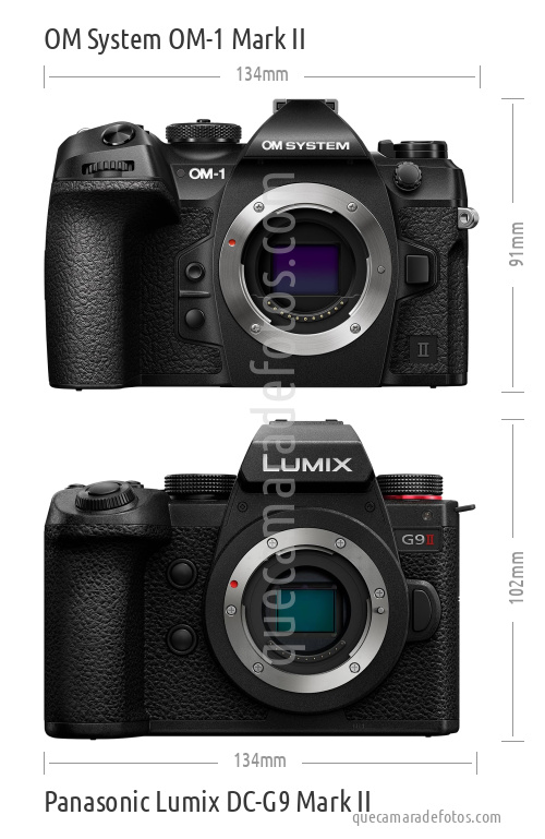 OM System OM-1 Mark II vs Panasonic Lumix DC-G9 Mark II