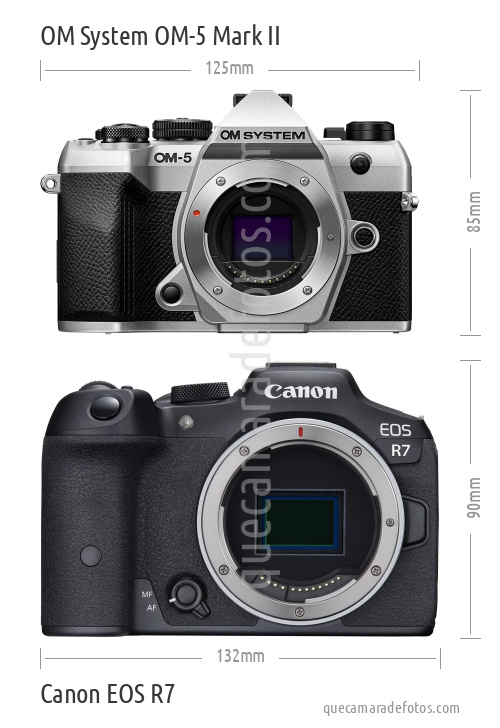 OM System OM-5 Mark II vs Canon EOS R7