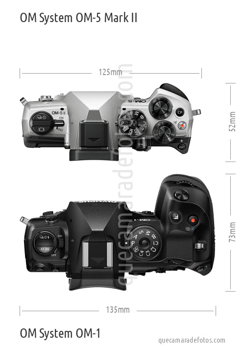 OM System OM-5 Mark II vs OM System OM-1