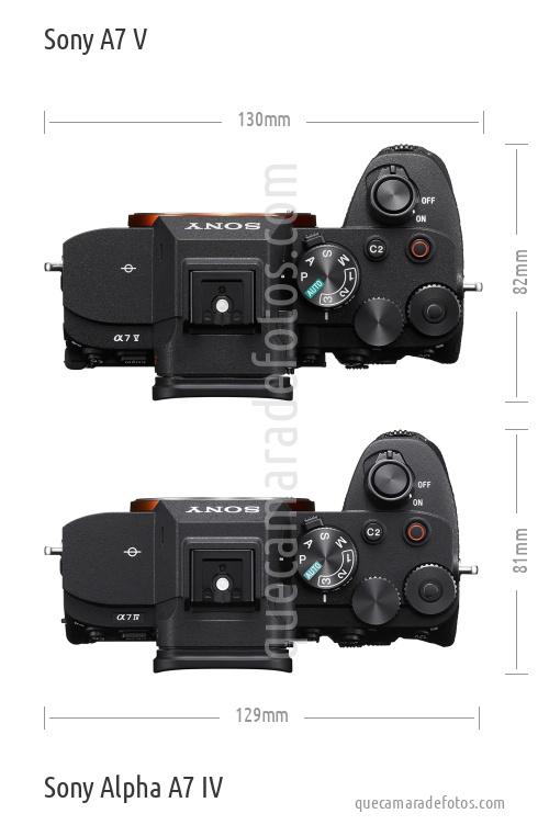 Sony A7 V vs Sony Alpha A7 IV
